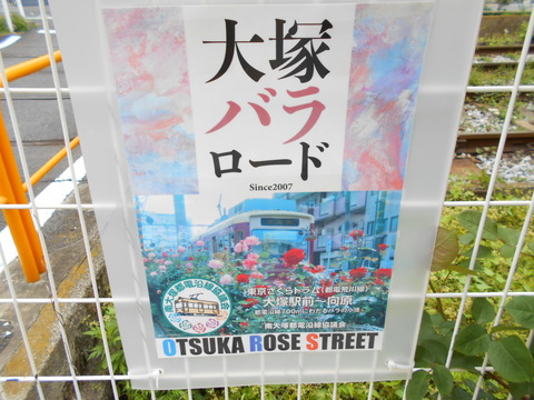 DSCN8216