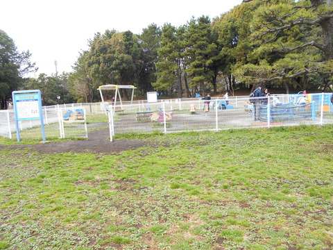 DSCN6734