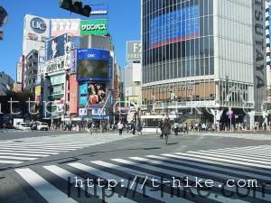 RIMG0348