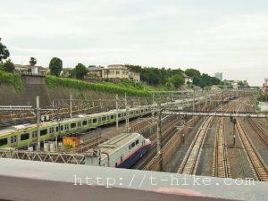 RIMG0532