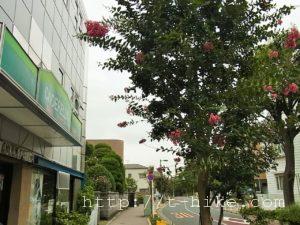 RIMG0154