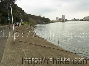 RIMG0375