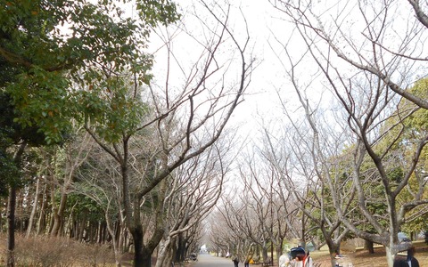 DSCN6720
