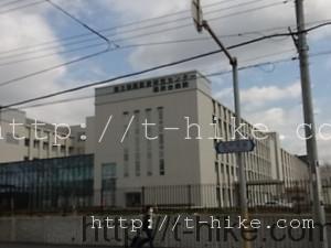 RIMG0297
