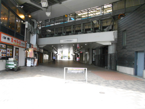 DSCN8655