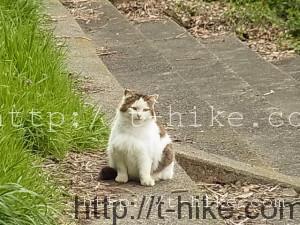 RIMG0378