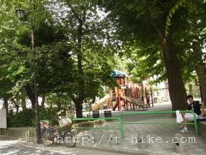 RIMG0884