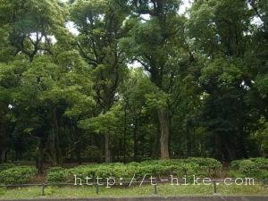 RIMG0252
