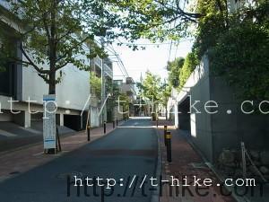 RIMG0383