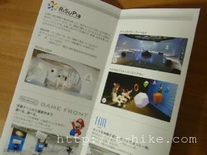 RIMG0208