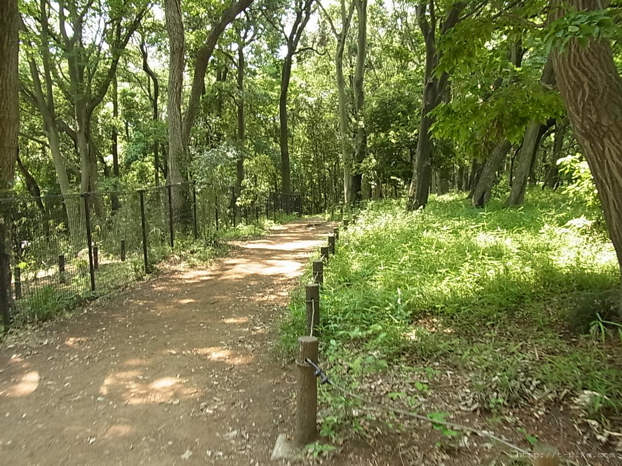 RIMG0929