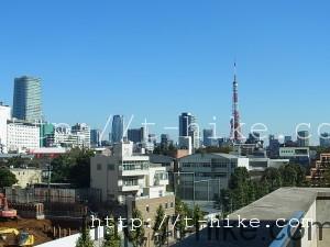 RIMG0333