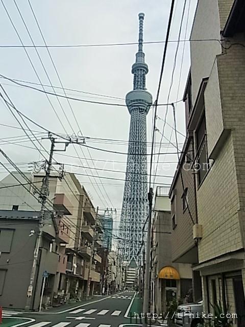RIMG0716