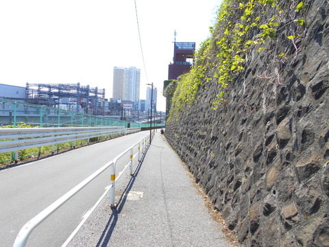 DSCN8369