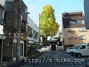 RIMG0039