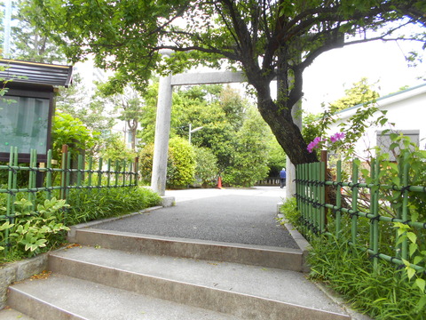 DSCN8244
