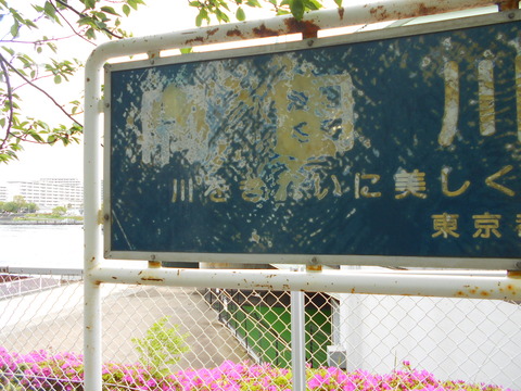 DSCN8039