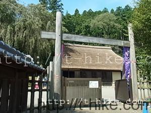 RIMG0798