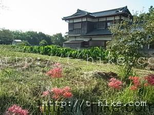 RIMG0717