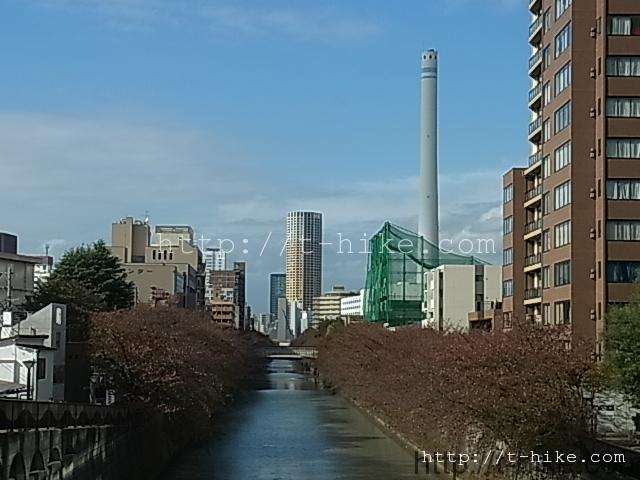 RIMG0399