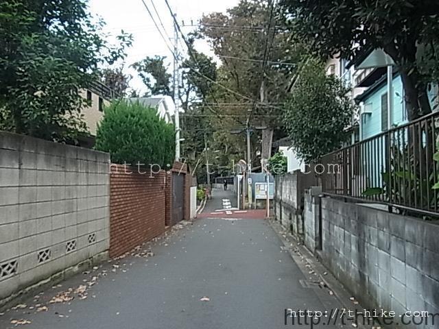 RIMG0506