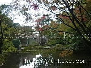 RIMG0244