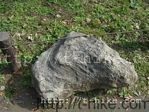 RIMG0119