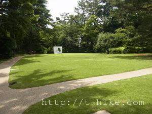 RIMG0842