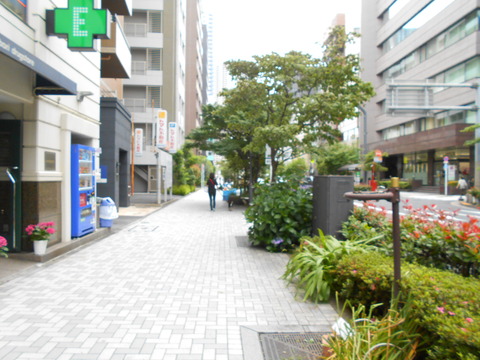 DSCN8988