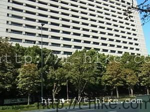 RIMG0089