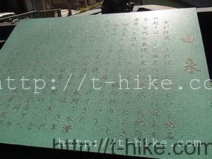 RIMG0240