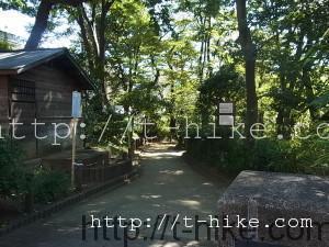 RIMG0389