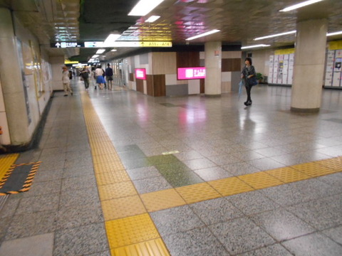 DSCN2893