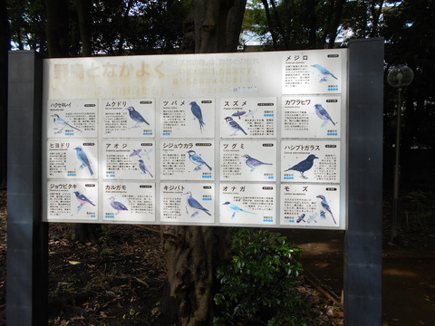 DSCN9680