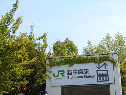 DSCN7940
