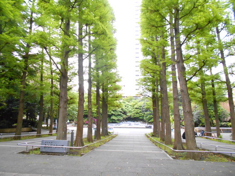 DSCN8197
