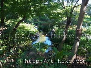 RIMG0387