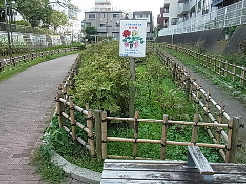 RIMG0626