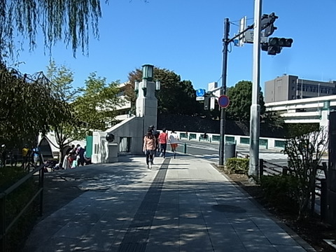 RIMG0911