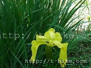 069