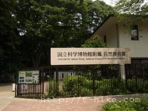 RIMG0829