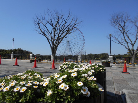 DSCN4769 (1)