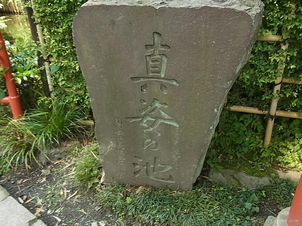 RIMG0915