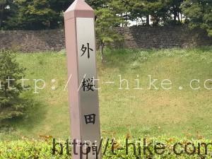 RIMG0602