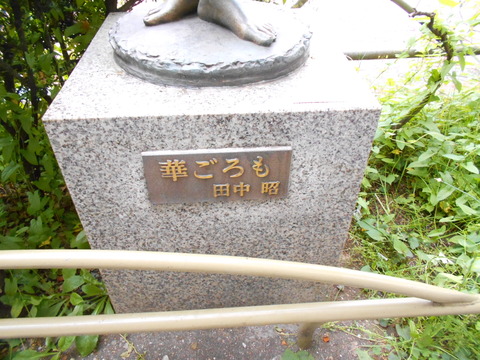 DSCN8645