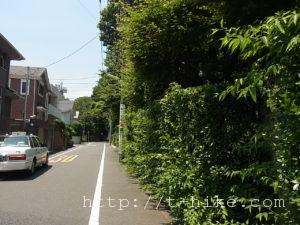 RIMG0121