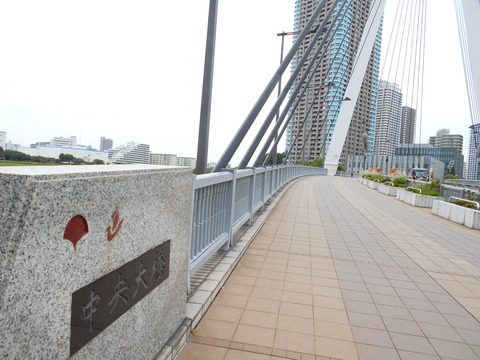 DSCN8991 (1)