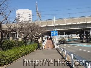RIMG0169