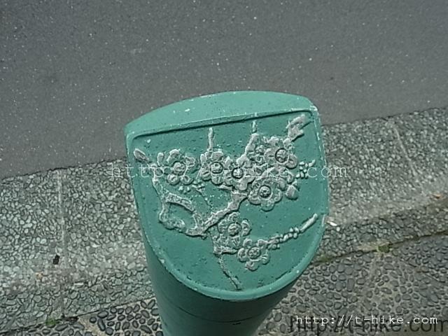 RIMG0599