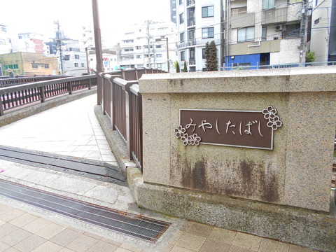 DSCN8254